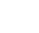 VICTUS GLOBAL